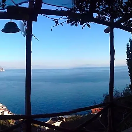 Rina Amalfi